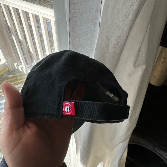 47’ Clean Up - Chattanooga Lookouts - Picture 6 of 7